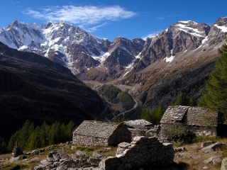  Camps d'été 